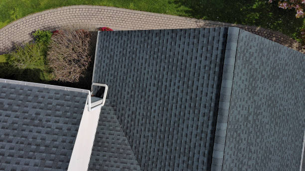 Best Roof Moss and Algae Removal  in Cullowhee, NC